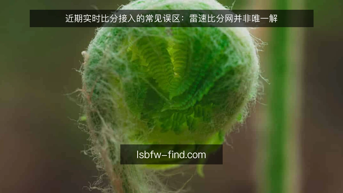 近期实时比分接入的常见误区：雷速比分网并非唯一解